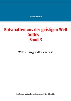 Botschaften aus der geistigen Welt Gottes von Schneider,  Peter