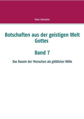 Botschaften aus der geistigen Welt Gottes von Schneider,  Peter