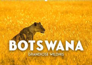 Botswana – Grandiose Wildnis (Wandkalender 2023 DIN A2 quer) von SF