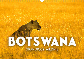 Botswana – Grandiose Wildnis (Wandkalender 2023 DIN A3 quer) von SF