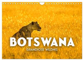 Botswana – Grandiose Wildnis (Wandkalender 2024 DIN A4 quer), CALVENDO Monatskalender von SF,  SF