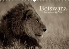 Botswana – Impressionen aus Afrika (Wandkalender 2023 DIN A3 quer) von Franz Josef Hering,  Dr.