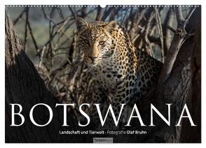 Botswana – Landschaft und Tierwelt (Wandkalender 2024 DIN A2 quer), CALVENDO Monatskalender von Bruhn,  Olaf