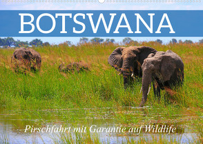 Botswana- Pirschfahrt mit Garantie auf Wildlife (Wandkalender 2023 DIN A2 quer) von Werner Altner,  Dr.