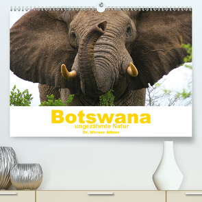 Botswana – ungezähmte Natur (Premium, hochwertiger DIN A2 Wandkalender 2021, Kunstdruck in Hochglanz) von Werner Altner,  Dr.