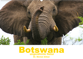 Botswana – ungezähmte Natur (Wandkalender 2021 DIN A2 quer) von Werner Altner,  Dr.