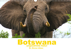 Botswana – ungezähmte Natur (Wandkalender 2022 DIN A3 quer) von Werner Altner,  Dr.