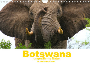 Botswana – ungezähmte Natur (Wandkalender 2022 DIN A4 quer) von Werner Altner,  Dr.