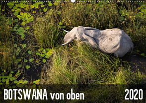 Botswana von oben (Wandkalender 2020 DIN A2 quer) von krueger-photography