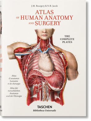 Bourgery. Atlas der menschlichen Anatomie und der Chirurgie