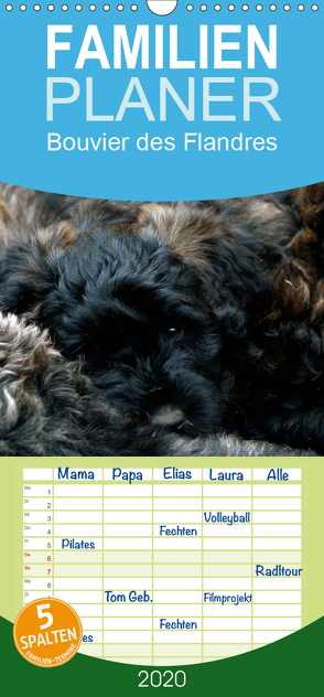 Bouvier des Flandres – Familienplaner hoch (Wandkalender 2020 , 21 cm x 45 cm, hoch) von Milau,  Susan