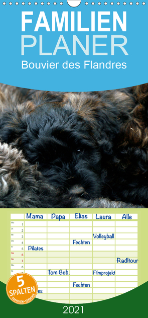 Bouvier des Flandres – Familienplaner hoch (Wandkalender 2021 , 21 cm x 45 cm, hoch) von Milau,  Susan