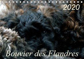 Bouvier des Flandres (Tischkalender 2020 DIN A5 quer) von Milau,  Susan