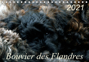 Bouvier des Flandres (Tischkalender 2021 DIN A5 quer) von Milau,  Susan