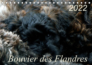 Bouvier des Flandres (Tischkalender 2022 DIN A5 quer) von Milau,  Susan