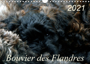 Bouvier des Flandres (Wandkalender 2021 DIN A4 quer) von Milau,  Susan