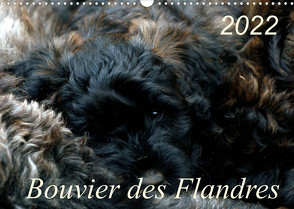 Bouvier des Flandres (Wandkalender 2022 DIN A3 quer) von Milau,  Susan