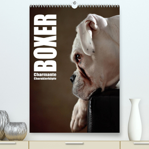 Boxer – Charmante Charakterköpfe (Premium, hochwertiger DIN A2 Wandkalender 2023, Kunstdruck in Hochglanz) von Behr,  Jana