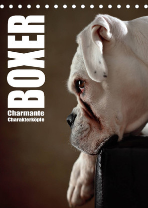 Boxer – Charmante Charakterköpfe (Tischkalender 2023 DIN A5 hoch) von Behr,  Jana