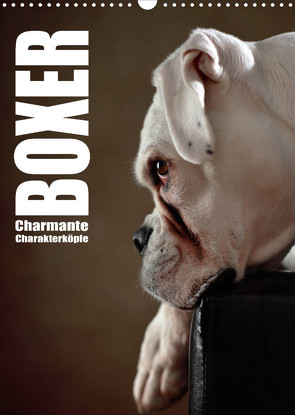 Boxer – Charmante Charakterköpfe (Wandkalender 2023 DIN A3 hoch) von Behr,  Jana