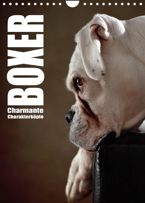 Boxer – Charmante Charakterköpfe (Wandkalender 2023 DIN A4 hoch) von Behr,  Jana