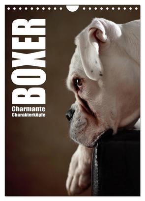 Boxer – Charmante Charakterköpfe (Wandkalender 2024 DIN A4 hoch), CALVENDO Monatskalender von Behr,  Jana