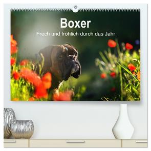 Boxer Frech und fröhlich durch das Jahr (hochwertiger Premium Wandkalender 2024 DIN A2 quer), Kunstdruck in Hochglanz von Janetzek,  Yvonne