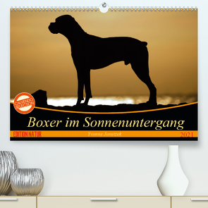 Boxer im Sonnenuntergang (Premium, hochwertiger DIN A2 Wandkalender 2021, Kunstdruck in Hochglanz) von Janetzek,  Yvonne