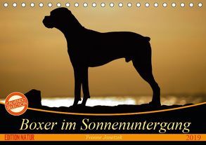 Boxer im Sonnenuntergang (Tischkalender 2019 DIN A5 quer) von Janetzek,  Yvonne