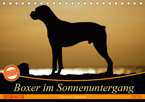 Boxer im Sonnenuntergang (Tischkalender 2020 DIN A5 quer) von Janetzek,  Yvonne