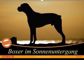 Boxer im Sonnenuntergang (Wandkalender 2018 DIN A2 quer) von Janetzek,  Yvonne