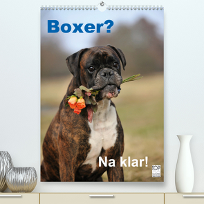 Boxer? Na klar! (Premium, hochwertiger DIN A2 Wandkalender 2021, Kunstdruck in Hochglanz) von Janetzek,  Yvonne