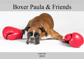 Boxerhündin Paula and Friends (Tischkalender 2019 DIN A5 quer) von Elbe,  Frank
