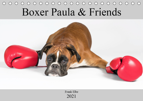 Boxerhündin Paula and Friends (Tischkalender 2021 DIN A5 quer) von Elbe,  Frank