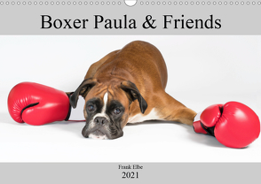 Boxerhündin Paula and Friends (Wandkalender 2021 DIN A3 quer) von Elbe,  Frank