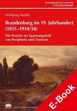 Brandenburg im 19. Jahrhundert (1815-1914/18) von Neitmann,  Klaus, Radtke,  Wolfgang, Ribbe,  Wolfgang