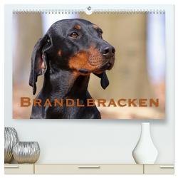 Brandlbracken (hochwertiger Premium Wandkalender 2024 DIN A2 quer), Kunstdruck in Hochglanz von Berg,  Martina