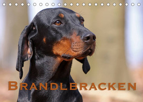 Brandlbracken (Tischkalender 2023 DIN A5 quer) von Berg,  Martina