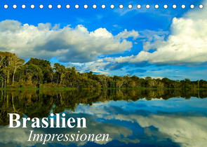 Brasilien. Impressionen (Tischkalender 2023 DIN A5 quer) von Stanzer,  Elisabeth