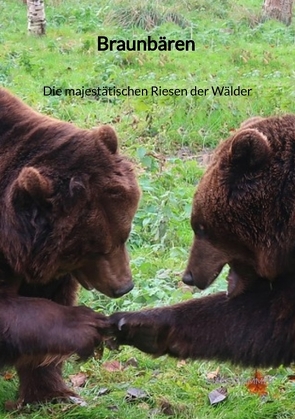 Braunbären – Die majestätischen Riesen der Wälder von Zimmer,  Marco