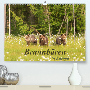 Braunbären in Europa (Premium, hochwertiger DIN A2 Wandkalender 2023, Kunstdruck in Hochglanz) von Dorn,  Christian