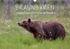 Braunbären – pelzige Riesen in Finnlands Wäldern (Wandkalender 2022 DIN A3 quer) von Sandra Eigenheer,  ©