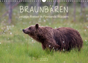 Braunbären – pelzige Riesen in Finnlands Wäldern (Wandkalender 2023 DIN A3 quer) von Sandra Eigenheer,  ©