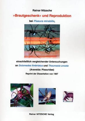 ‚Brautgeschenk‘ und Reproduktion bei Pisaura mirabilis, einschließlich vergleichender Untersuchungen an Dolomedes fimbriatus und Thaumasia uncata (Araneida: Pisauridae) von Nitzsche,  Rainar