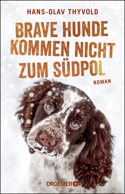 Brave Hunde kommen nicht zum Südpol von Brunstermann,  Andreas, Thyvold,  Hans-Olav