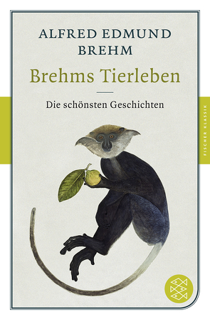 Brehms Tierleben von Brehm,  Alfred Edmund