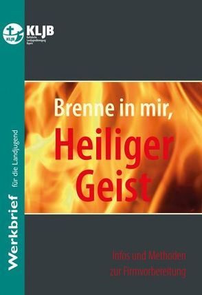 Brenne in mir, Heiliger Geist von Ganslmeier,  Regina, Hammes,  Verena, Hasslberger,  Bernhard, Meurer,  Verena, Schmidt,  Barbara J. Th., Schönlinner,  Rupert, Schwerdtner,  Silke, Stefke,  Richard, Stopfer,  Johannes