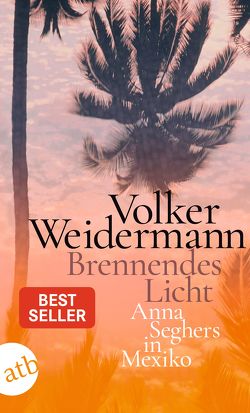 Brennendes Licht von Weidermann,  Volker