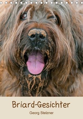 Briard-Gesichter (Tischkalender 2018 DIN A5 hoch) von Stelzner,  Georg