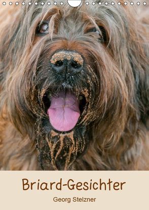 Briard-Gesichter (Wandkalender 2019 DIN A4 hoch) von Stelzner,  Georg